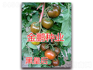 �ڻʺ�-���ҷ��ѷN��-�|�Z�r(n��ng)�I(y��)