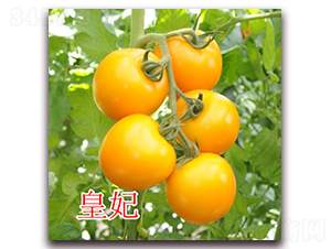 ����-���ҷ��ѷN��-�|�Z�r(n��ng)�I(y��)