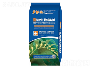 ����΢�������-���ʩ-�����