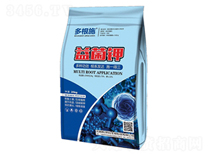 ����-���ʩ-�����