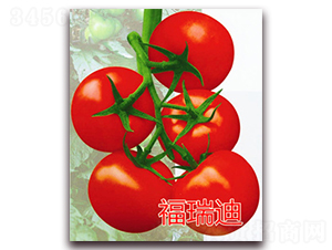 ����ϡ����͟ΌTY�t�����ѷN��-�|�Z�r(n��ng)�I(y��)