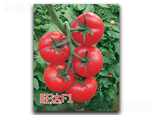 ���_F1-�t�����ѷN��-�|�Z�r(n��ng)�I(y��)