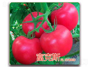 ����˹-�۹����ѷN��-�|�Z�r(n��ng)�I(y��)