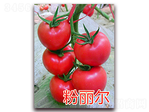 ������-�۹����ѷN��-�|�Z�r(n��ng)�I(y��)