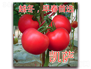 �P�_-�۹����ѷN��-�|�Z�r(n��ng)�I(y��)