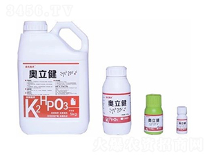 �������������-�W����-�W��˹��