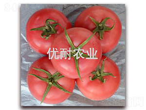 �����R��-���ѷN��-��(y��u)���r�I(y��)