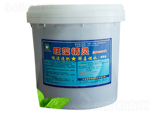 ���徫�`-�r(n��ng)������