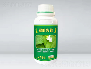 �G�~���h��ƿ��-��������