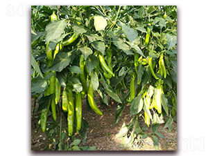 㑄�14-�����N��-� ��r(n��ng)�I(y��)