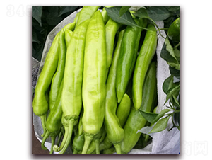 㑄�11-�����N��-� ��r(n��ng)�I(y��)