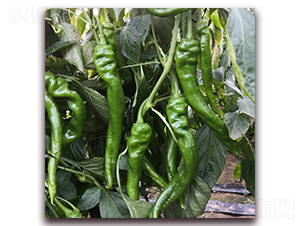 �]��3-�����N��-� ��r(n��ng)�I(y��)