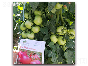 ��������-���ѷN��-� ��r(n��ng)�I(y��)