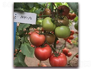 � �1812-���ѷN��-� ��r(n��ng)�I(y��)