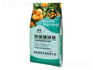 �}�V���\�F-��������