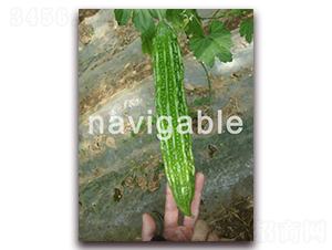 B703-��ϷN��-����