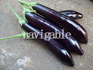 8114-���ӷN��-����