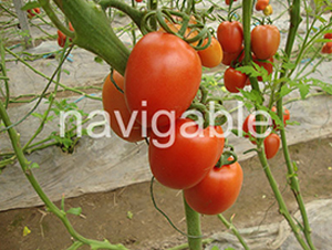 �_���t-��TY�_���t�����ѷN��-����