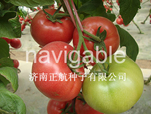 �����-�۹����ѷN��-����