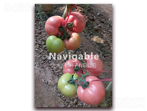 �������h-�۹����ѷN��-����