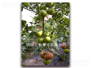 ����-�۹����ѷN��-����