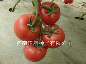 ���m����-�۹����ѷN��-����