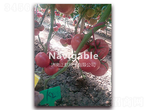 ���R����K2��-�۹����ѷN��-����