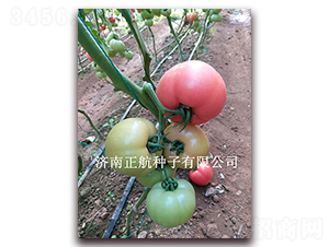 ����619-�۹����ѷN��-����