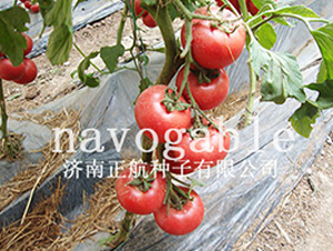 ��ϲ131-�۹����ѷN��-����