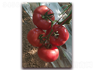 ����915-�۹����ѷN��-����