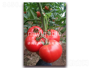 Խ�ķۻ�-�۹����ѷN��-����