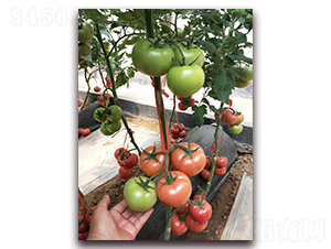 �ط�702-�۹����ѷN��-����