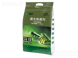 ΢�������-���S���G-ʩ���Z