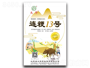 �B��13̖-ˮ���N��-���A�N�I(y��)