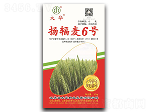 �P(y��ng)ݗ��6̖-С���N��-���A�N�I(y��)