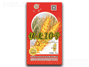 �(zh��n)��10̖-С���N��-���A�N�I(y��)