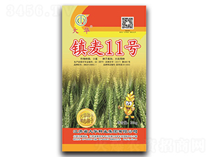 �(zh��n)��11̖-С���N��-���A�N�I(y��)