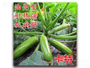 ����-�����J�N��-�f(w��n)���r(n��ng)�I(y��)