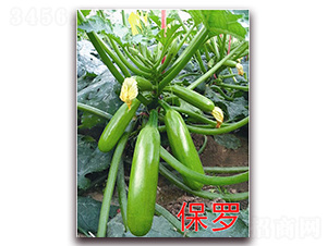 ���_-�����J�N��-�f(w��n)���r(n��ng)�I(y��)