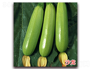 ɳ��-�����J�N��-�f(w��n)���r(n��ng)�I(y��)