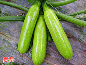 ����-�����J�N��-�f(w��n)���r(n��ng)�I(y��)