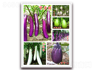 ϡ�����ӷN��-�f(w��n)���r(n��ng)�I(y��)