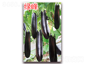 �G��-���ӷN��-�f(w��n)���r(n��ng)�I(y��)