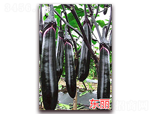 �|��-���ӷN��-�f(w��n)���r(n��ng)�I(y��)