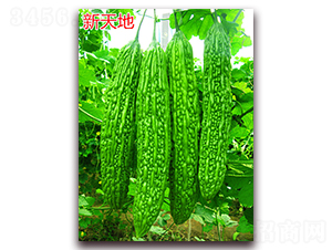 �����-��ϷN��-�f(w��n)���r(n��ng)�I(y��)