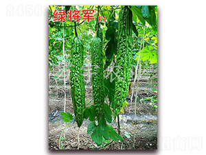 �G��܊F1-��ϷN��-�f(w��n)���r(n��ng)�I(y��)