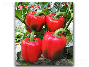 �ۿ�2̖-�����N��-�f���r(n��ng)�I(y��)