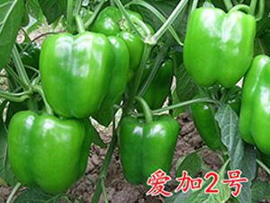 �ۼ�2̖-�����N��-�f���r(n��ng)�I(y��)