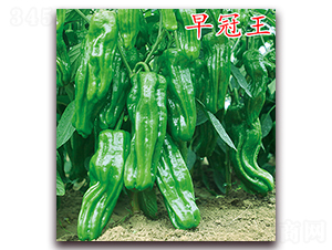 �����-�����N��-�f���r(n��ng)�I(y��)