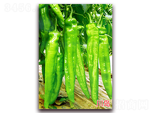 ���u-�����N��-�f���r(n��ng)�I(y��)